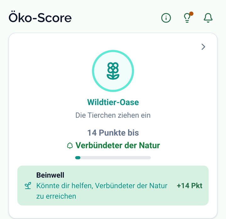 Der Rang eines Gartens, mit den Punkten bis zur nächsten Stufe