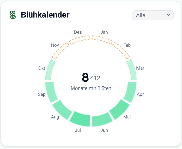 Die ringförmige Grafik mit acht Monaten Blüte