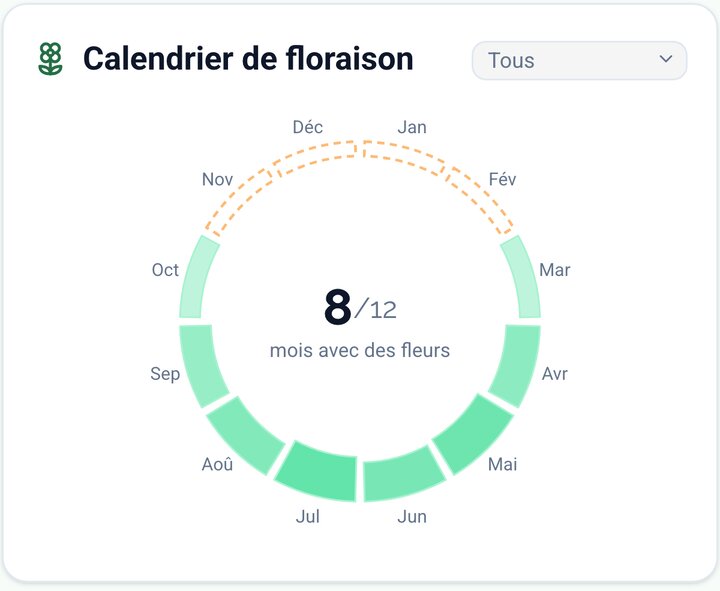 Le graphique circulaire avec huit mois de floraison