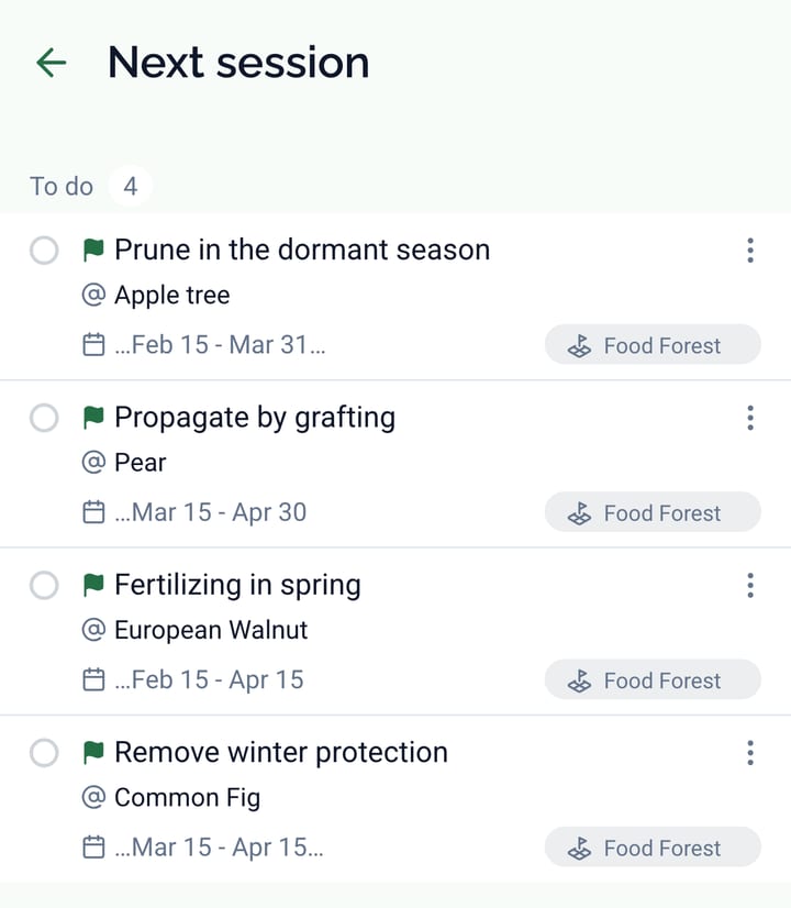 The Next session screen with four flagged tasks