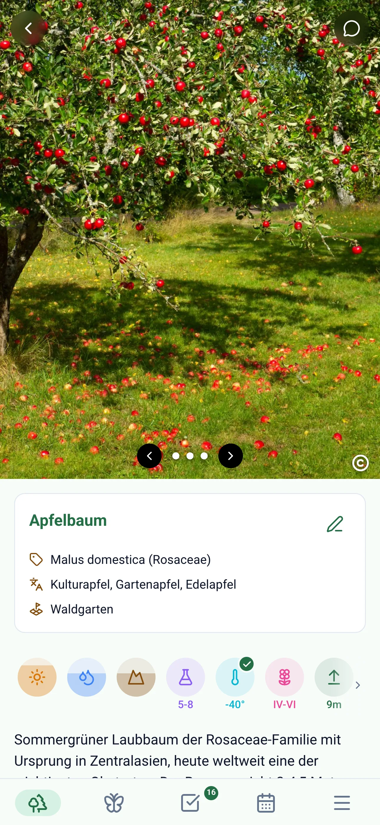 Gardiflora-App zeigt detaillierte Pflanzeninformationen mit Pflegehinweisen