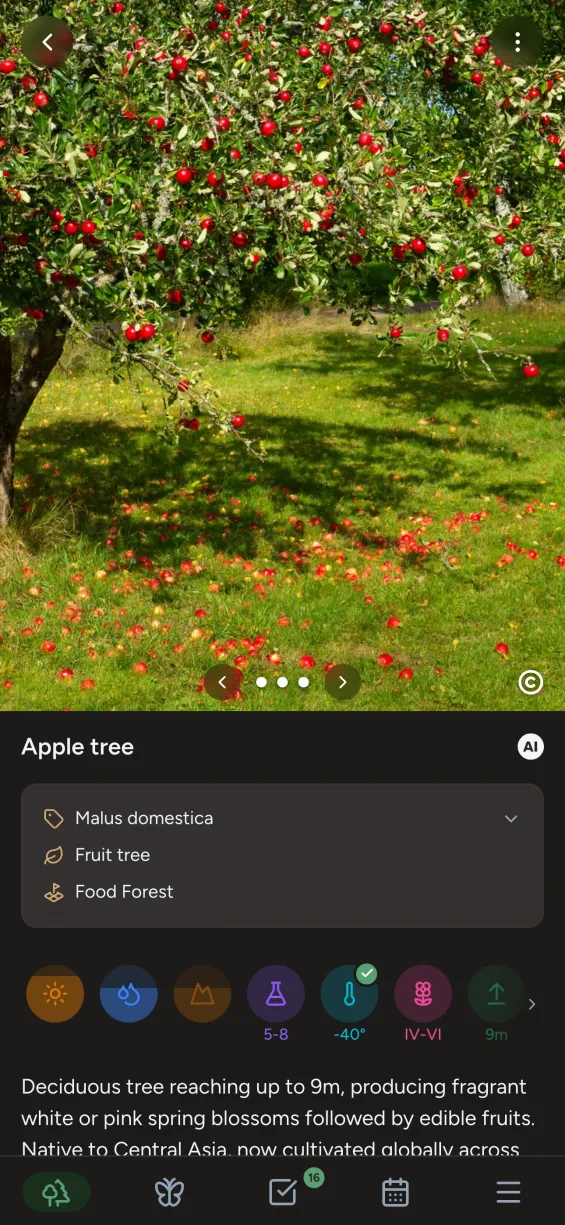 Gardiflora app showing detailed plant information with care instructions