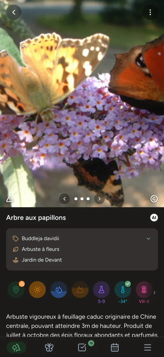 Application Gardiflora montrant les informations détaillées d'une plante avec conseils d'entretien