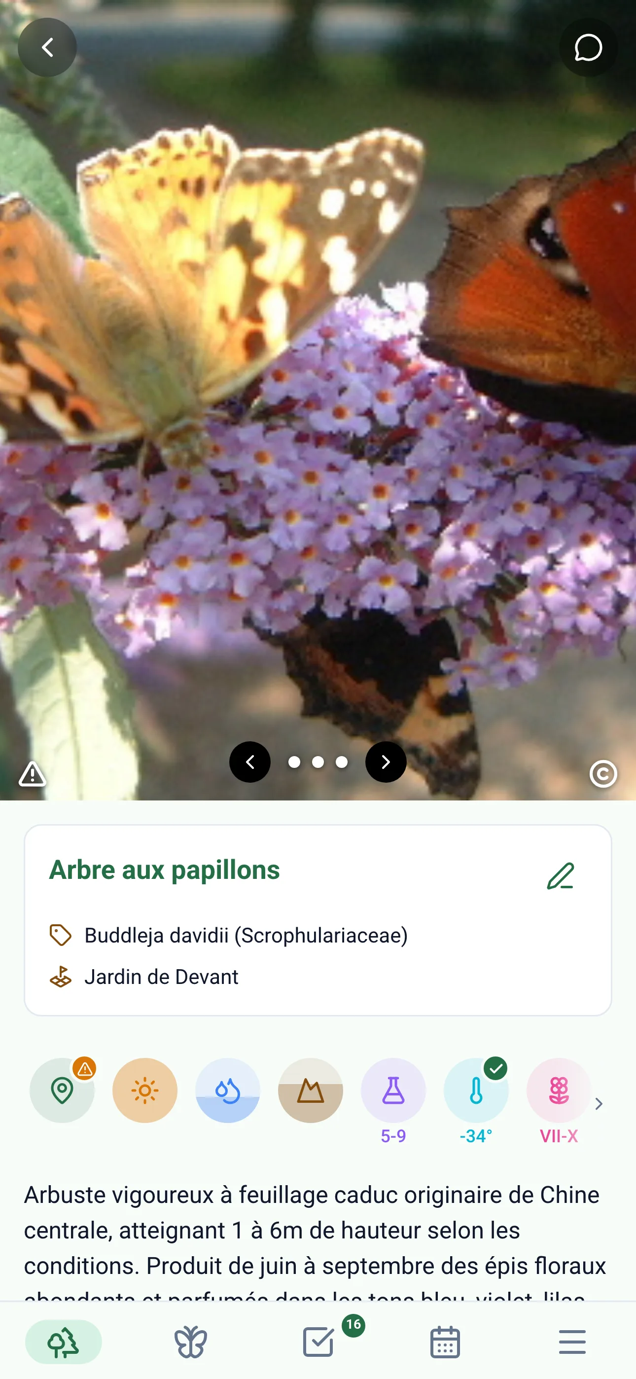 Application Gardiflora montrant les informations détaillées d'une plante avec conseils d'entretien