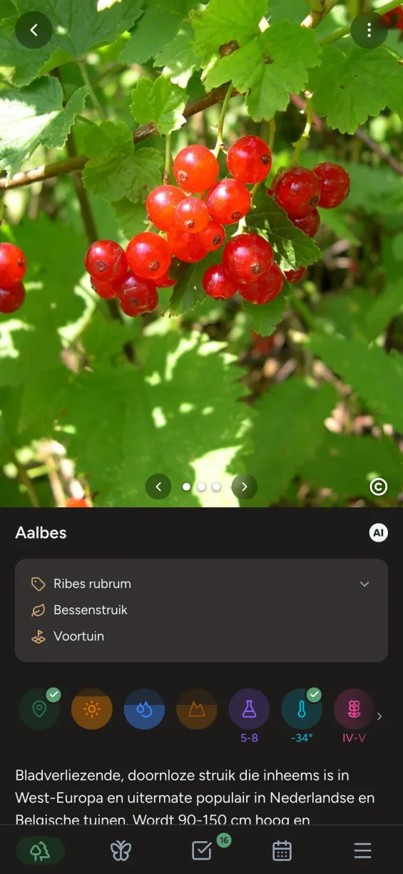 Gardiflora-app met gedetailleerde plantinformatie en verzorgingstips