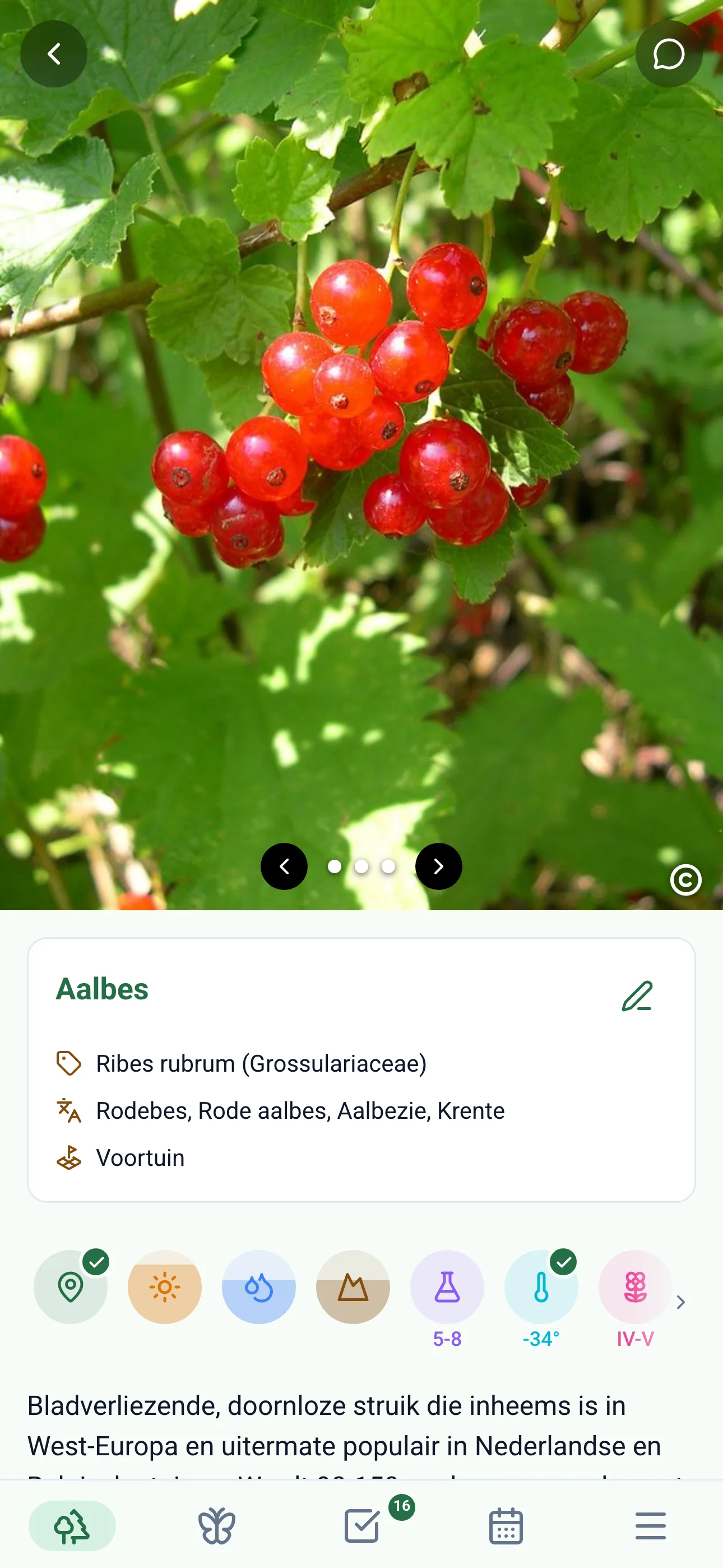 Gardiflora-app met gedetailleerde plantinformatie en verzorgingstips