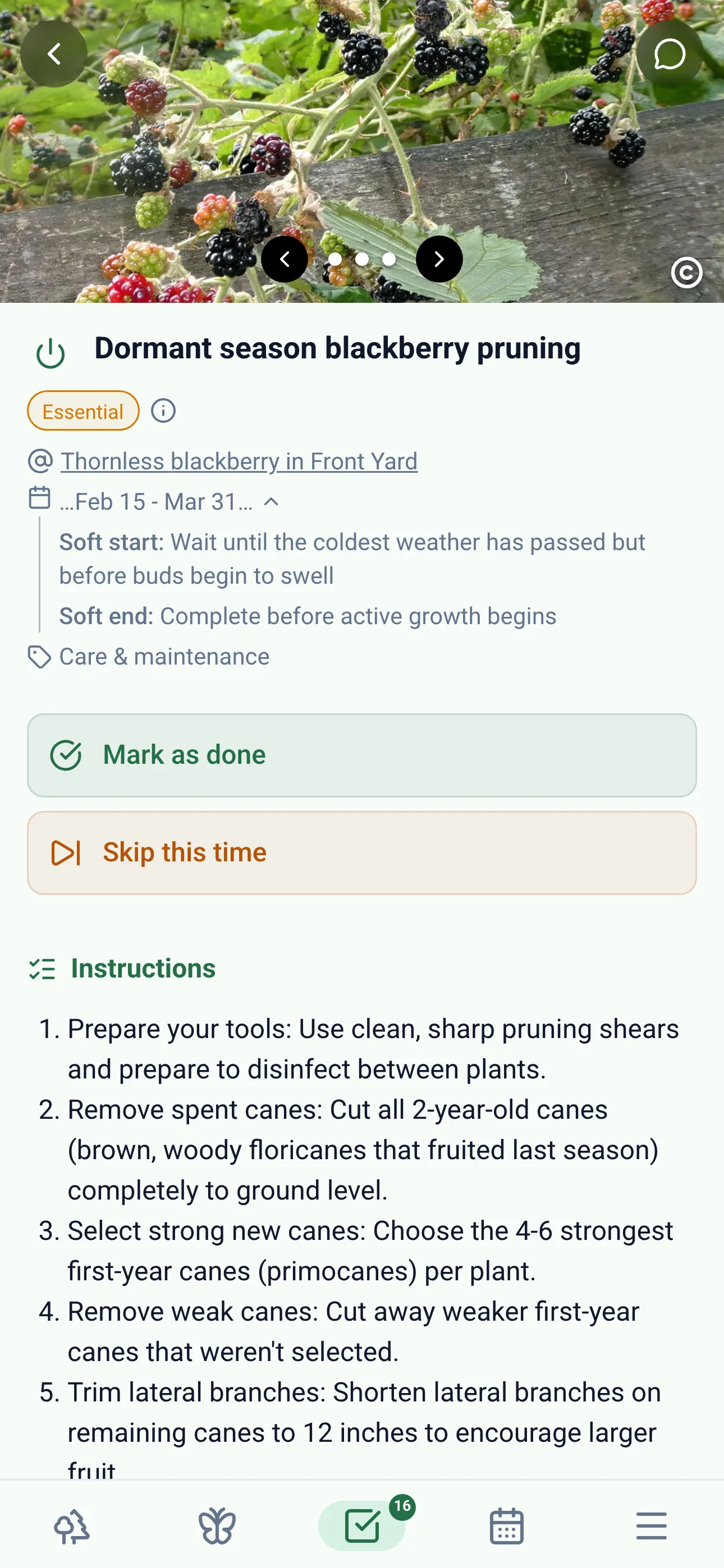 Gardiflora app showing detailed task information with timing and context